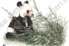 079_WWF_panda