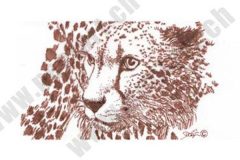 085_dessin_guepard