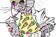 029_rabbit